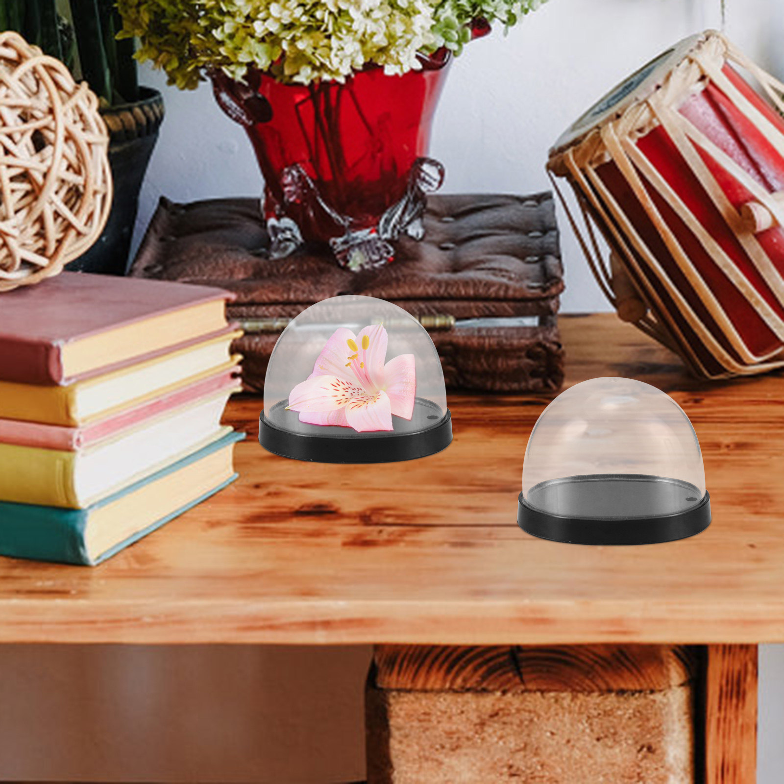 5セット 透明プラスチック製 クローシュドーム 花のディスプ - Plastic Dome Clear のレビューと価格