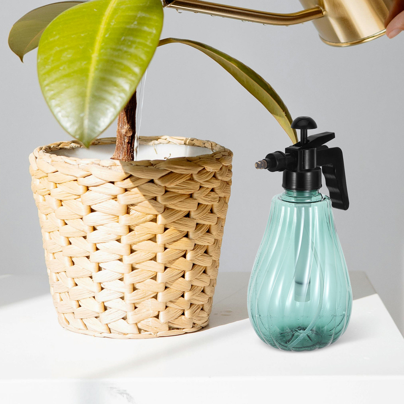 手持ち式ペット用バススプレーヤー、緑色のプラスチック製スプレ - Misting Bottle Fine のレビューと価格