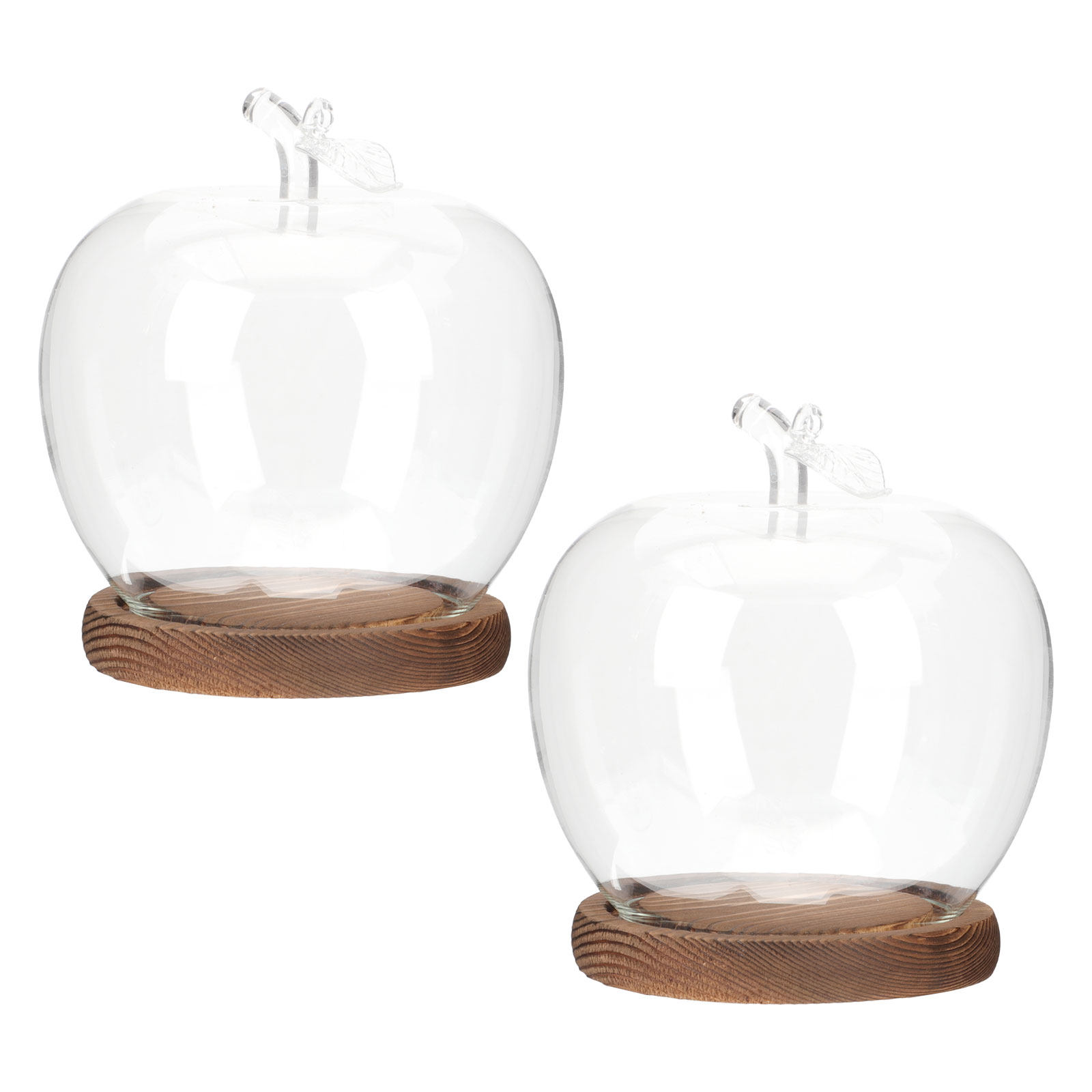 2個セット 透明ガラスドーム 木製ベース付き ディスプレイ用 - Plastic Dome Clear のレビューと価格
