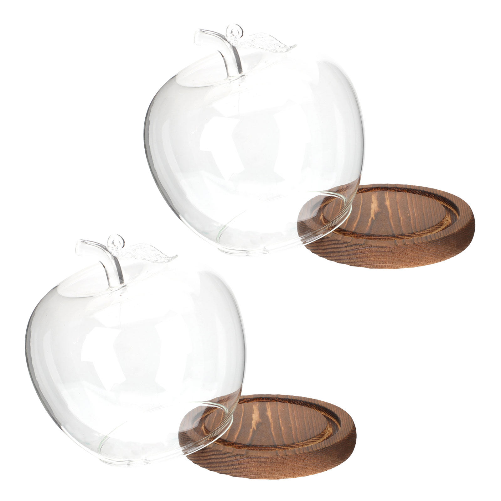 2個セット 透明ガラスドーム 木製ベース付き ディスプレイ用 - Plastic Dome Clear のレビューと価格