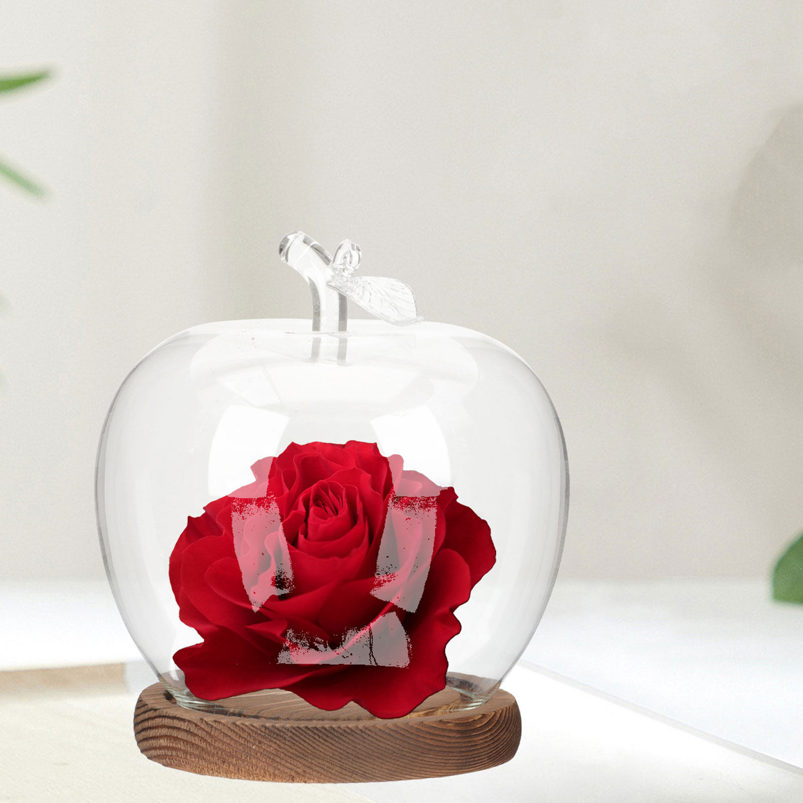 2個セット 透明ガラスドーム 木製ベース付き ディスプレイ用 - Plastic Dome Clear のレビューと価格